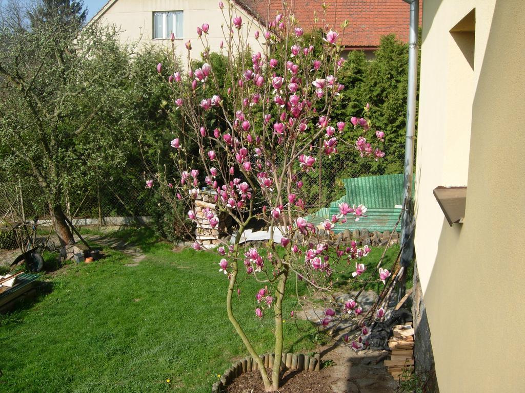 Apartma U Hovorku Appartement Županovice